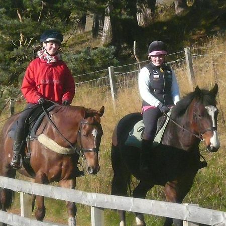Tigh An Each B&B & Laggan Glamping Newtonmore Luaran gambar
