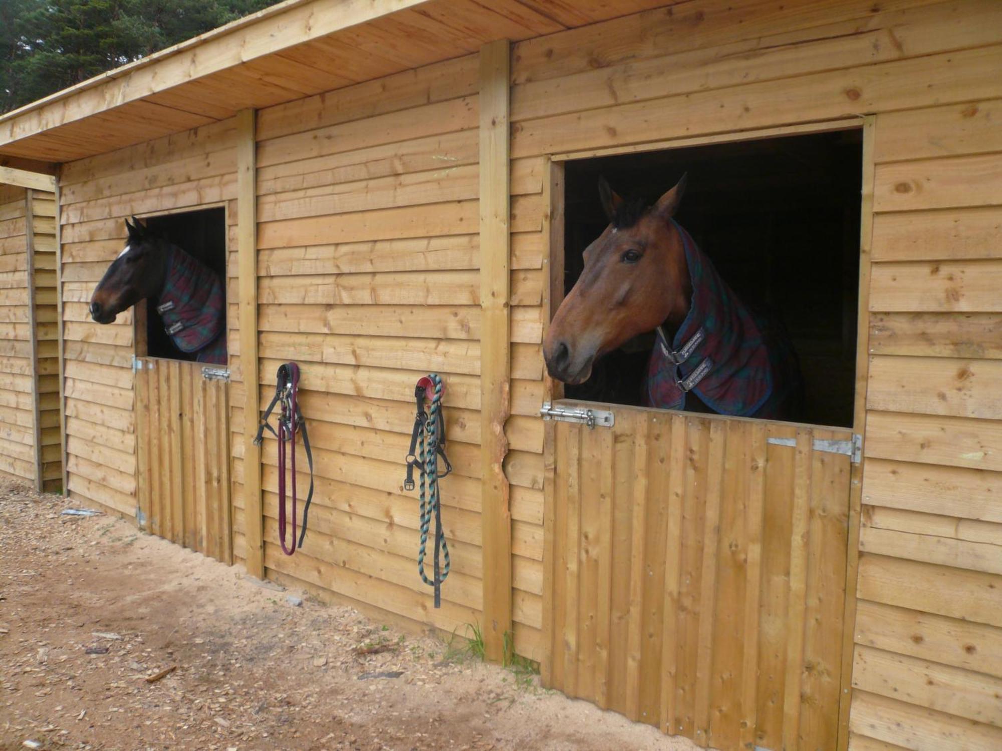 Tigh An Each B&B & Laggan Glamping Newtonmore Luaran gambar