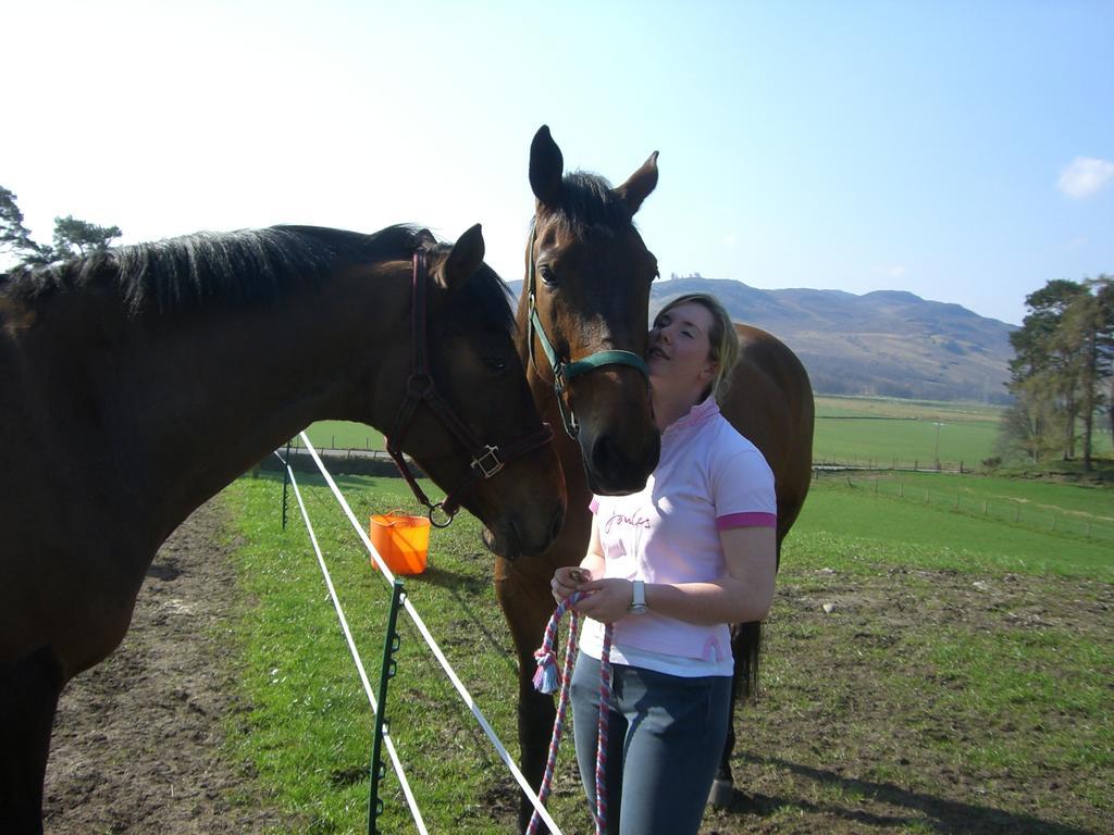 Tigh An Each B&B & Laggan Glamping Newtonmore Luaran gambar